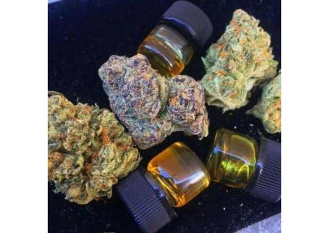 Top Grade Medical Cannabis/Marijuana Strains And Oil Available
