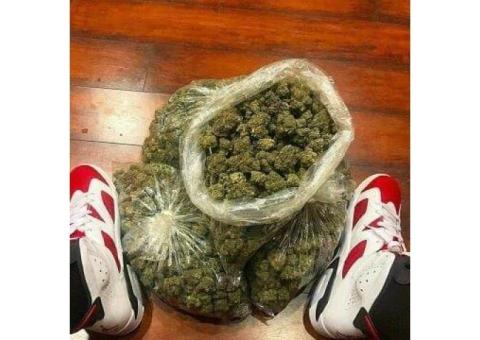 ???????? Marijuana strains for sale(????????shipping and delivery????????)