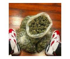 ???????? Marijuana strains for sale(????????shipping and del...