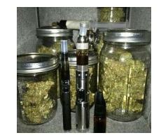 We have Quality <mark>Cannabis</mark> oil and medical marijuana for smoke...