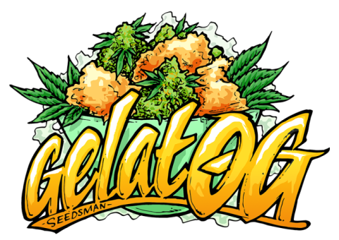 Gelat.OG Feminised Seeds