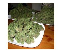 meet marijuana grower with,Moon Rocks,gorilla glue,etc