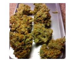 Best Medical Maijuana Strains