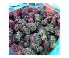 TOP GRADE MEDICAL MARIJUANA STRAINS,