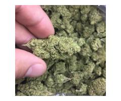 Top shelf best Marijuana strains available contact for fast ...