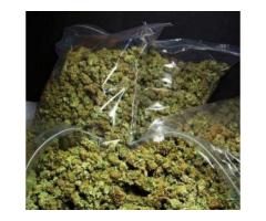 Grade A Top Quality Medical Marijuana