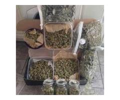 Seeds,Buds,flowers,sativa,hash,vape,cartridges +1 4159351308