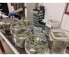 !!!!!!!!!!!LATEST INVENTORY TOP HARSH CONCENTRATED STRAINS,H...