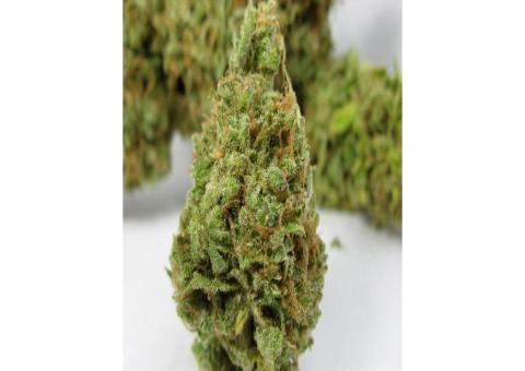 WE ARE WHOLESALE SUPPLIER OF MEDICAL MARIJUANA WhatsApp:+12097147651