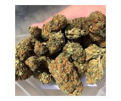 Shop Medical Marijuana Online