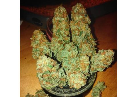 BUY TOP GRADE MEDICAL MARIJUANA AND CANNABIS