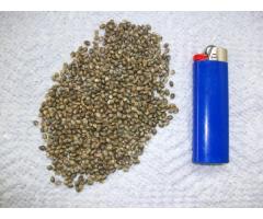 Quality Cannabis Feminized Seeds