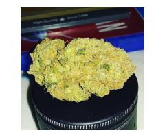 SHELF INDOORS MEDICAL MARIJUANA AVAILABLE AT DISCOUNT PRICES...