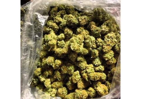 ORDER MOON ROCK,GIRL SCOUT COOKIES,LEMON KUSH,BLUE BERRY KUSH,BUBA KUSH INFO AT +1(720)663-0187