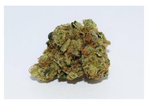 Afghani Heavy Indica Strain