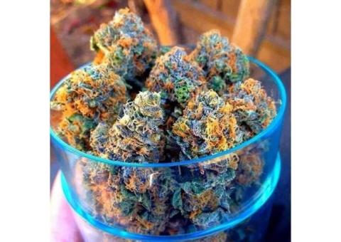 Medical and recreational cannabis for sale 