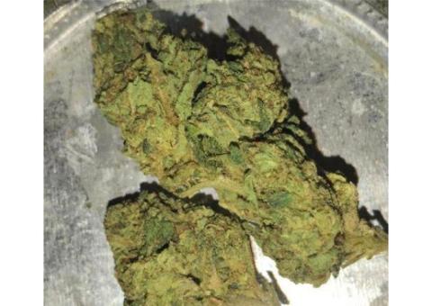 AK 47 Weed Strain