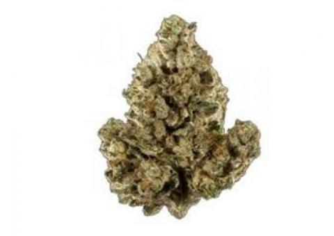 Big Bubba Diesel Indica Marijuana