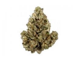 Big Bubba Diesel Indica Marijuana