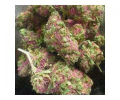 Medical and recreational cannabis for sale .
