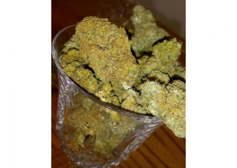 Shop Recreational Cannabis Online