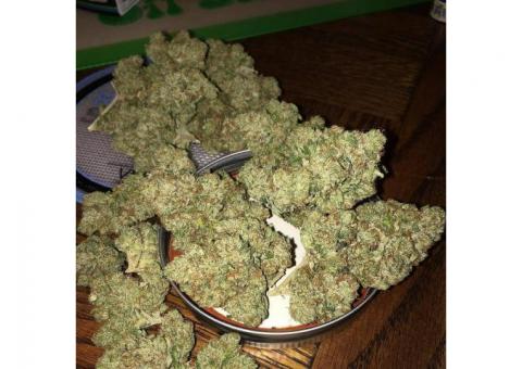 Top Shelf Grade A++ Medical Marijuana