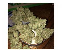 Top Shelf Grade A++ Medical Marijuana
