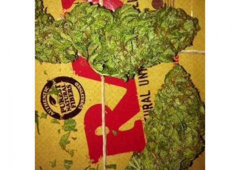 top grade quality medical marijuana strains for sale 