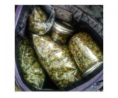 Top Quality Marijuana strains available at good prices