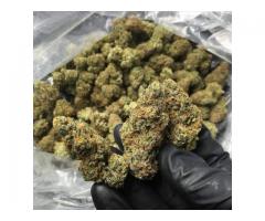 ORDER FOR TOP QUALITY CANNABIS ONLINE AFFORDABLE DISCOUNT
