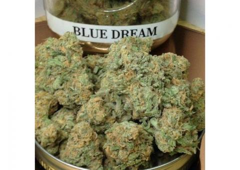Blue dream for sale
