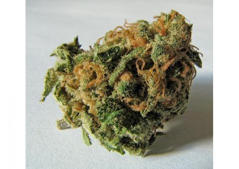 medical; strains avaible 