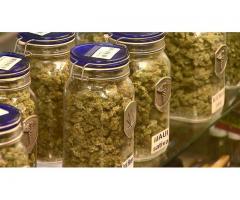 High Quality Marijuana for sale