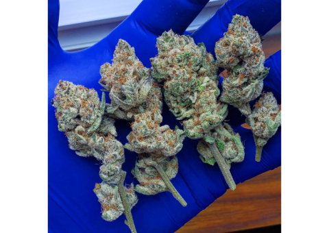 Grade A++ Recreational Cannabis