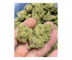 High Grade Medical Marijuana Strains Available