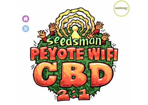 New cbd strains 2020 