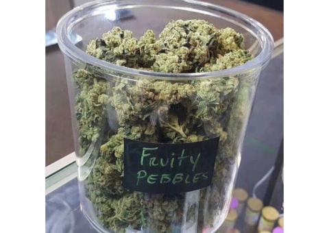 Top Quality grade A++ cannabis strains