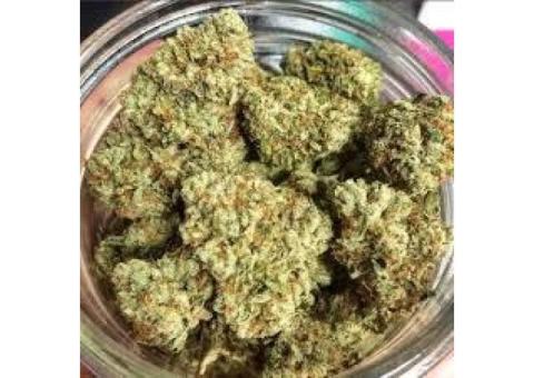 We are suppliers of good quality medical marijuana