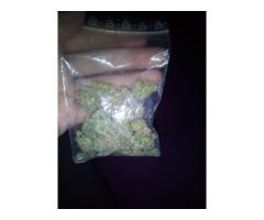 Highest quality indoor marijuana. by most trusted reliable g...