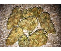 Quality Grade A++ Medical And Recreational Marijuana Strains...