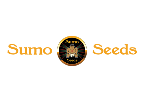 Honey Rock Feminised Seeds - 3 Sumo Seeds