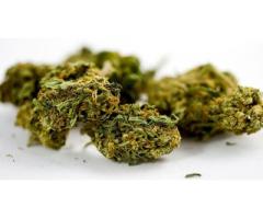 Top Quality Medical Marijuana,Buds,Cannabis, Pots,Oil, <mark>Weed</mark>,...