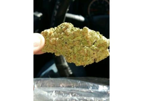 Quality Medical Marijuana,Buds,Cannabis, Pots,Oil, Weed,Wax