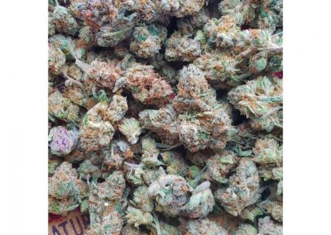 Order top quality buds