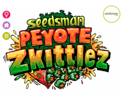 Peyote Zkittlez Feminised Seeds