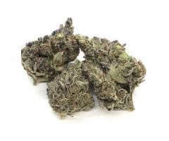 Buy Pink Kush Weed Online in Canada from LowPriceBud.co