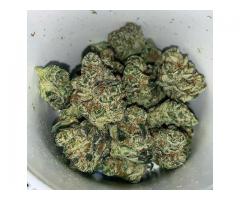 Top grade indoor marijuana