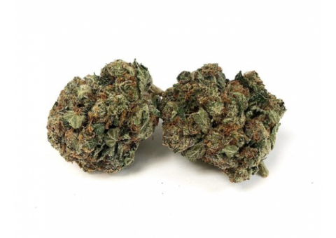 Buy Death Bubba Weed Strain from LowpriceBud.co