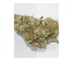 Best Article about weed for sale. Excellent post