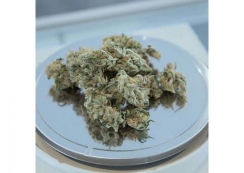 Buy High Quality Weed Online in Canada at LowpriceBud.co